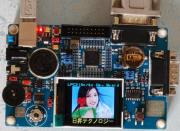 ARM7TDMI/LPC2148��ȯ���å�
